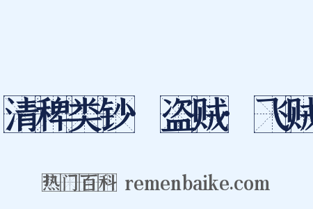 清稗类钞·盗贼·飞贼是什么意思的图片